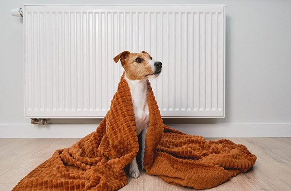 Advantages Of Professional Furnace Installation Services Advantages Of Professional Furnace Installation Services