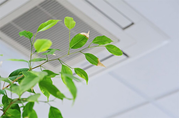 The Importance Of Indoor Air Quality For Residential And Commercial Hvac Systems The Importance Of Indoor Air Quality For Residential And Commercial Hvac Systems